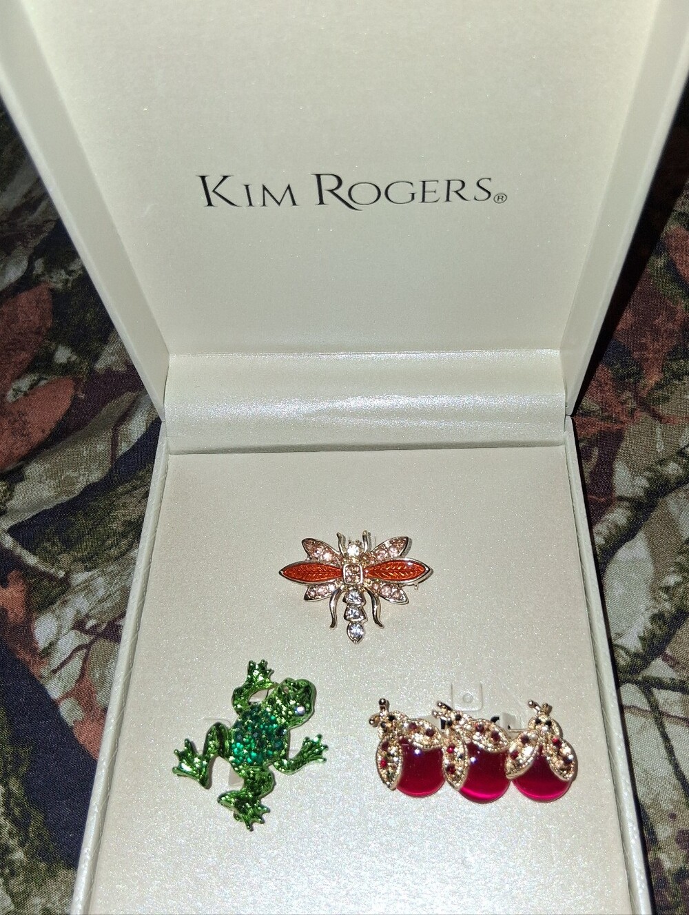 Kim Rogers 3 Piece Brooch Set Frog Dragonfly Lady Bugs